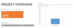 project overview