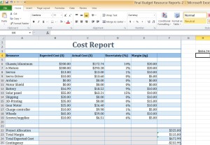 cost report